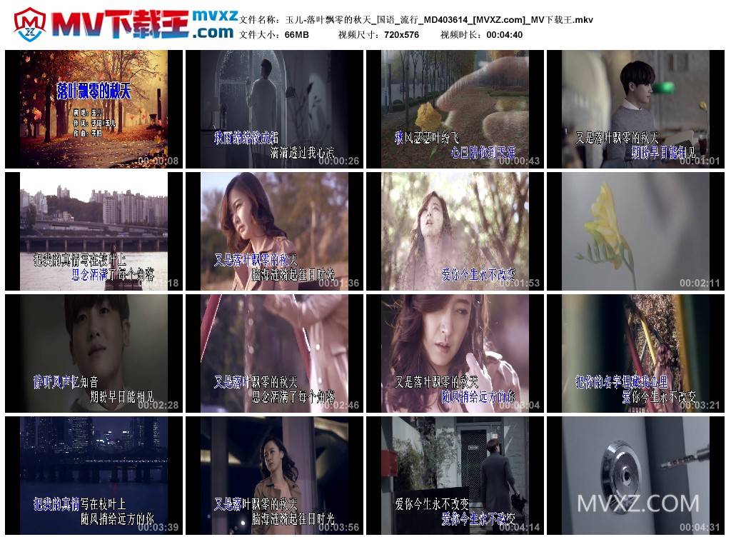 玉儿-落叶飘零的秋天_国语_流行_MD403614